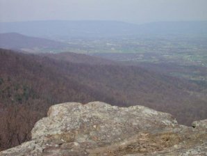 DSC02215.jpg DSC02215.jpg