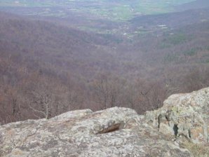 DSC02216.jpg DSC02216.jpg