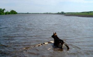 Oz May 2007-1.jpg Oz May 2007-1.jpg