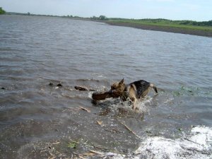 Oz May 2007-2.jpg Oz May 2007-2.jpg