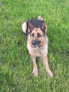 Oz 2011 (9).jpg Oz 2011 (9).jpg