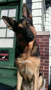 Unnamed.jpg Unnamed.jpg