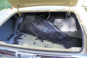 IMG_3895 (1024x683).jpg IMG_3895 (1024x683).jpg