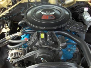 polara pictures 054.jpg