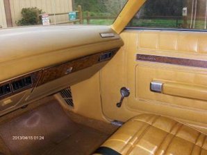 polara pictures 016.jpg polara pictures 016.jpg