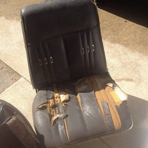 IMG_2999.JPG IMG_2999.JPG