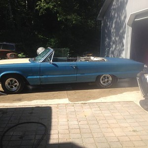 IMG_2994.jpg IMG_2994.jpg