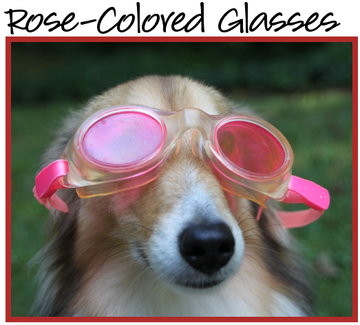 Dog-in-rose-colored-glasses.png