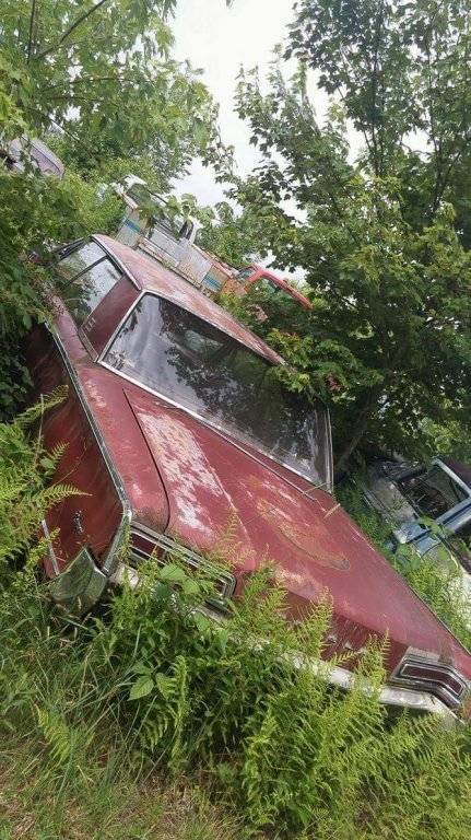 received_1314437101917201-jpeg.83795